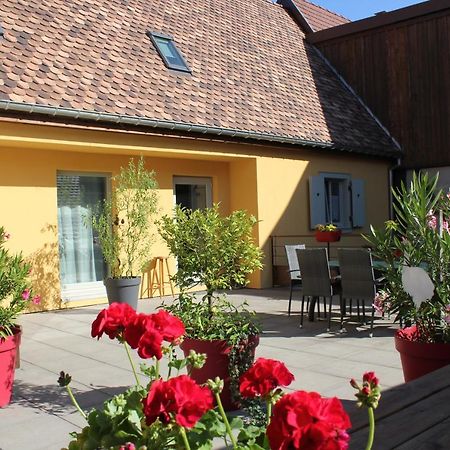 Gite Le Cep D'Or Alsace Saint-Hippolyte  Exterior photo